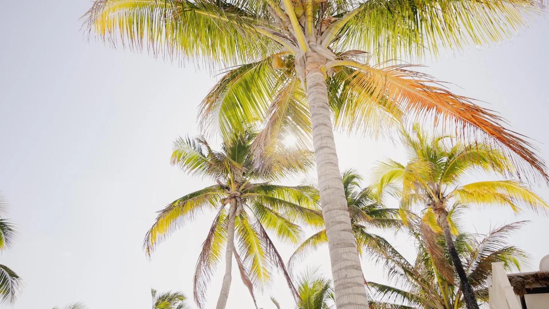 Hotel Vr Club Tulum Riviera